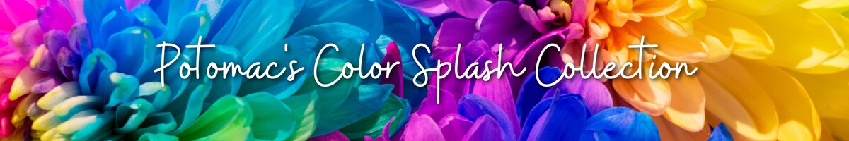 Potomac's Color Splash Collection